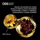 Garnier Olia Red Lacquers tartós hajfesték 5.52 Bársonyos Merlot  4. kép