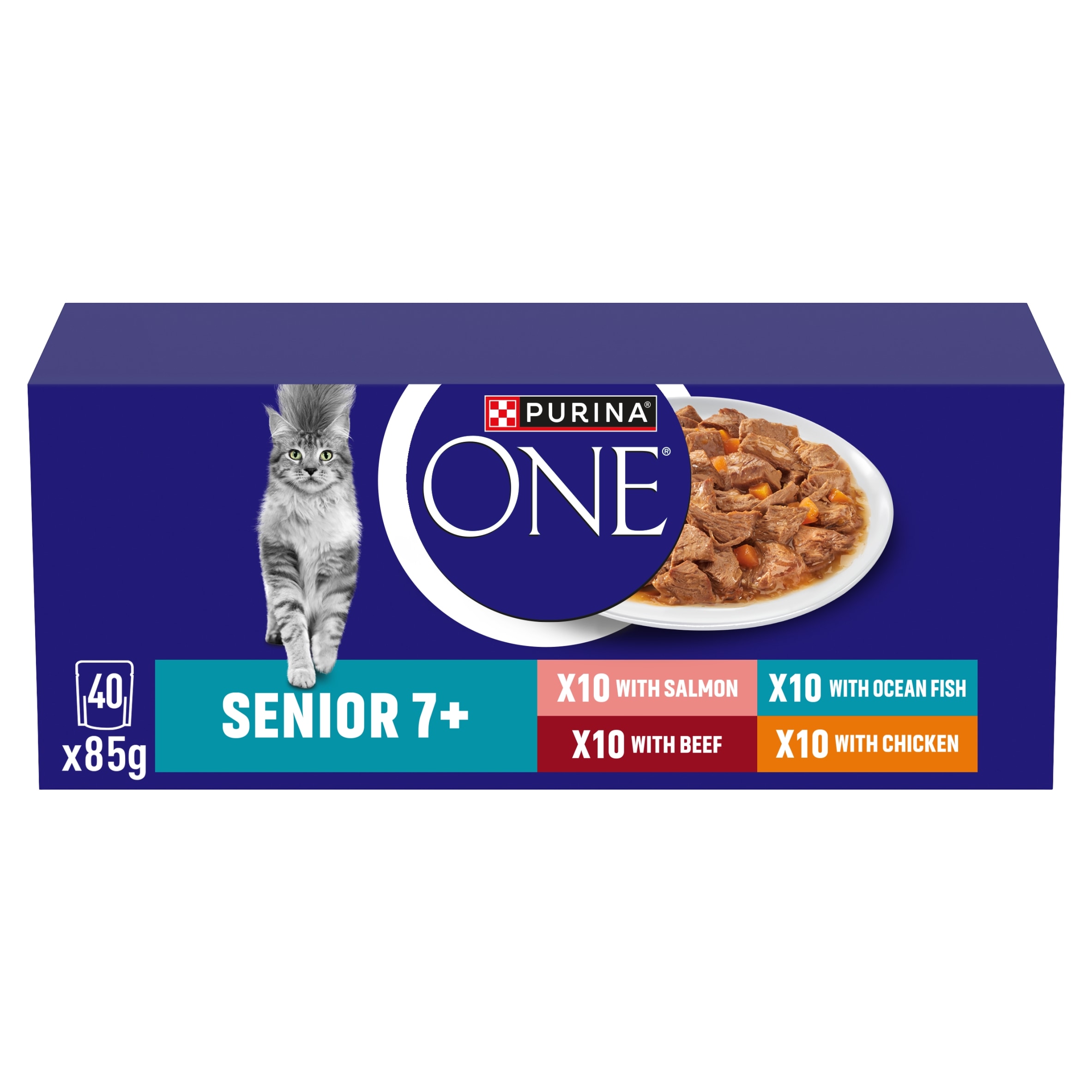 salmon purina one wet cat food