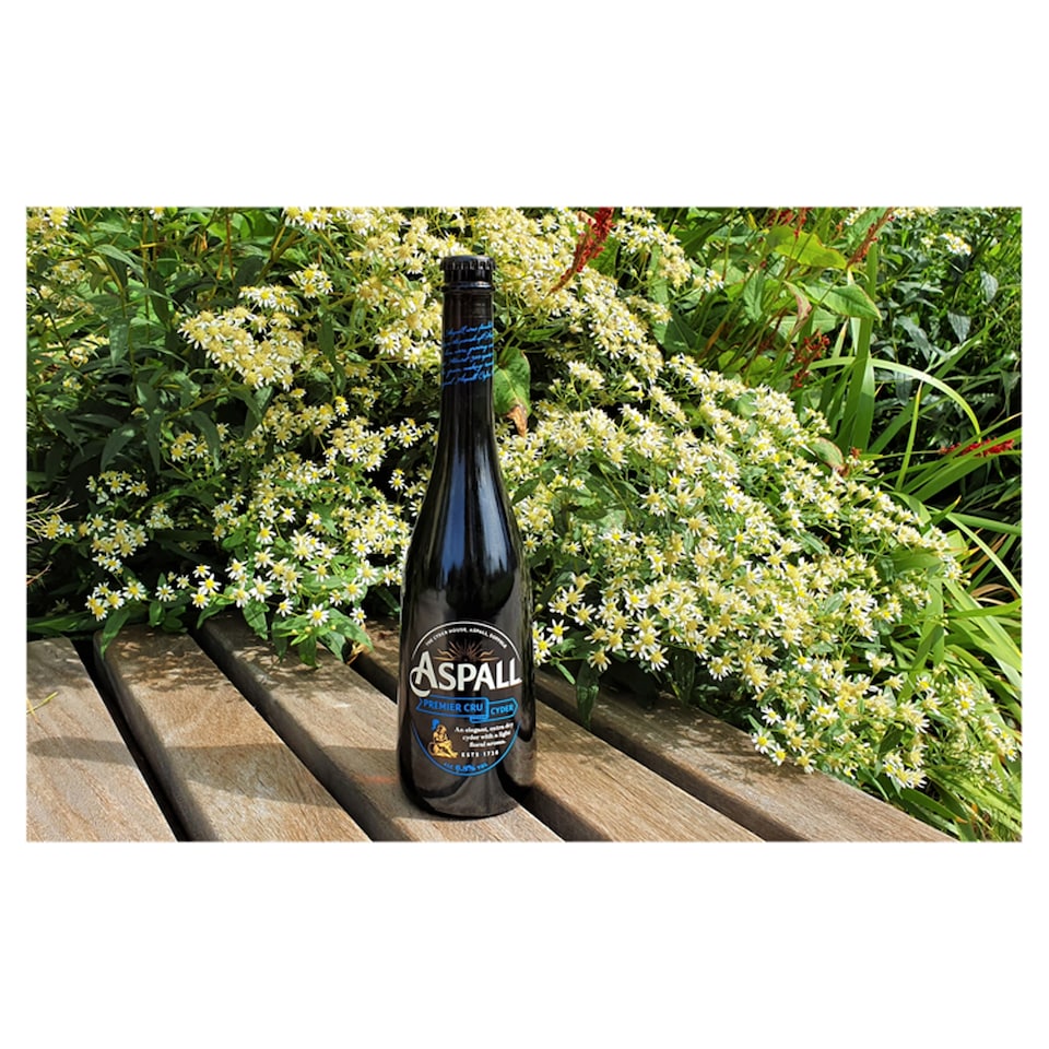 image 1 of Aspall Original Cru Cyder Bottle 6 x 500ml