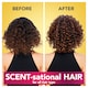 image 2 of Herbal Essences Daily Detox Clean Conditioner Raspberry & Mint 275ml