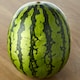 image 2 of Tesco Giant Watermelon
