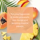 image 2 of Yankee Tropical Fruit Candle 200G