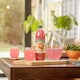 image 2 of Robinsons Fruit & Barley with Vitamins Summer Fruits Squash 1L