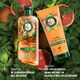 Obrázek 5 pro produkt Šampon Herbal Essences Orange Scent Volume 350ml pro Jemné vlasy, bez Silikonů
