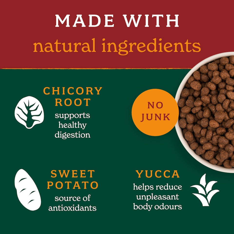 image 1 of Forthglade Lightly Baked Turkey Dry Dog Food 2kg