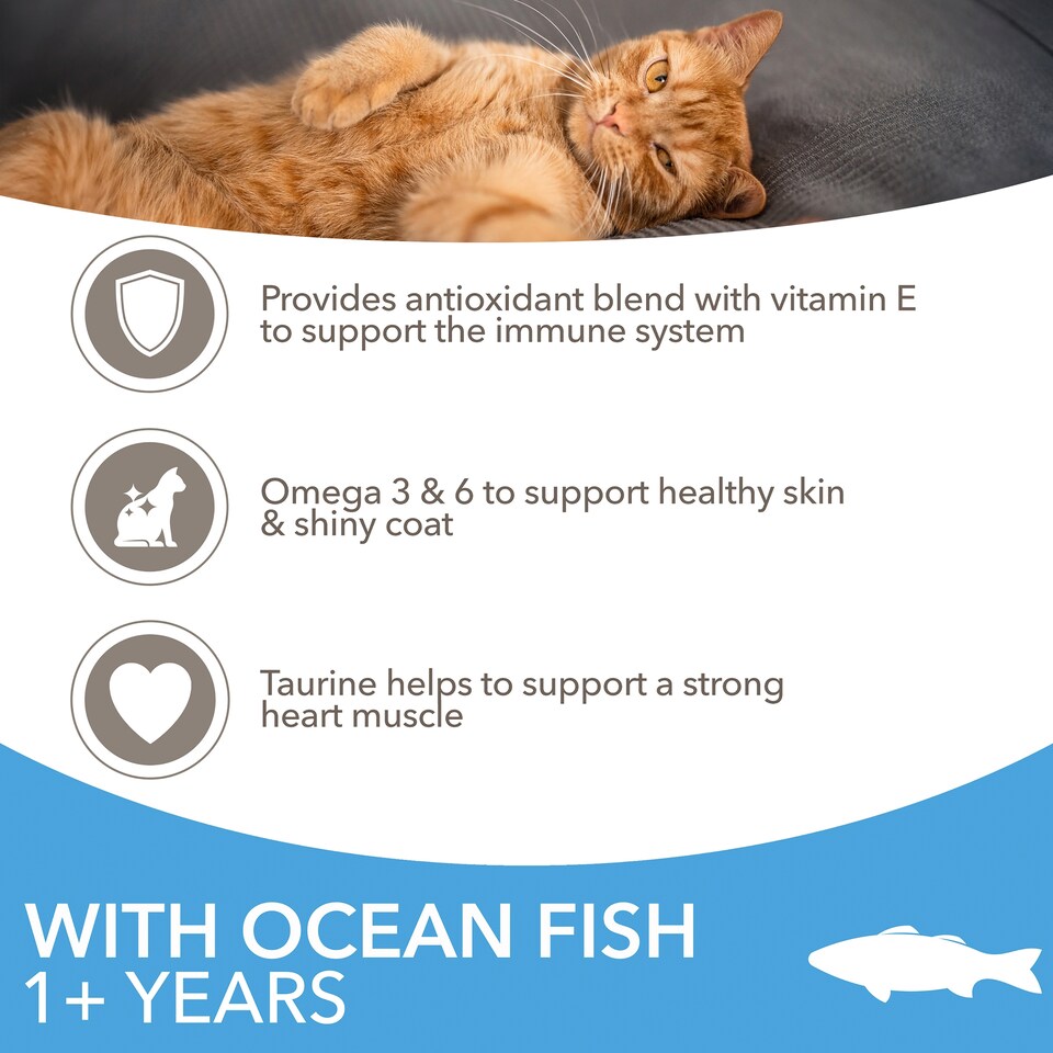 image 1 of Iams For Vitality Adult Cat Food - Ocean Fish 2kg