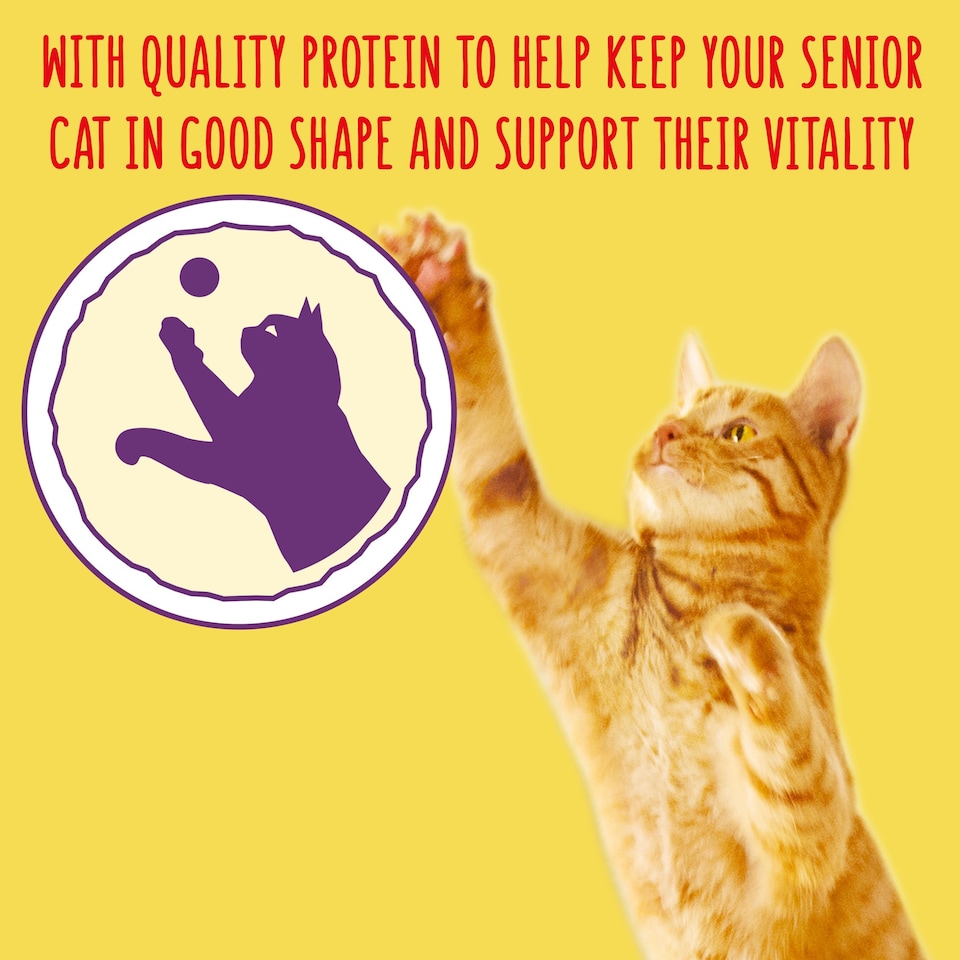 image 1 of GO-CAT Senior Chicken and Turkey Dry Cat Food 750g