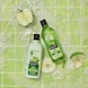 image 4 of Alberto Balsam Juicy Green Apple Shampoo 300Ml