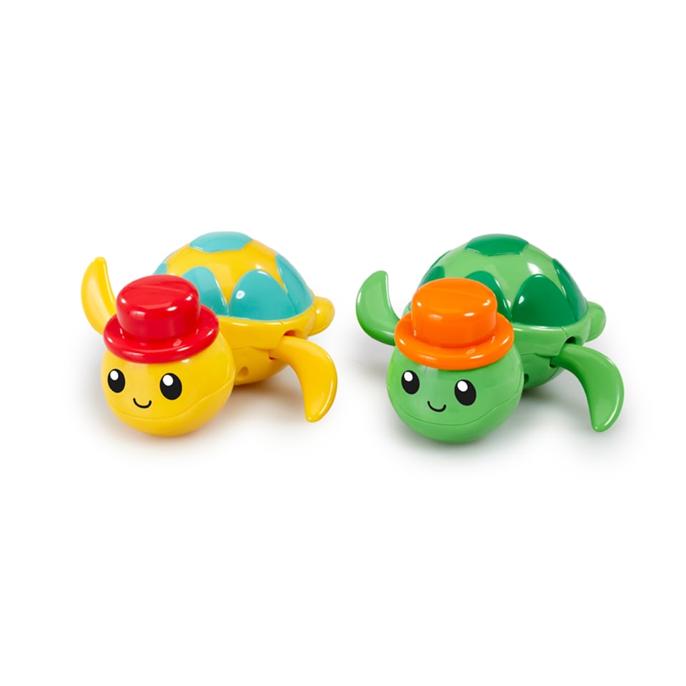 Wind Up Turtle