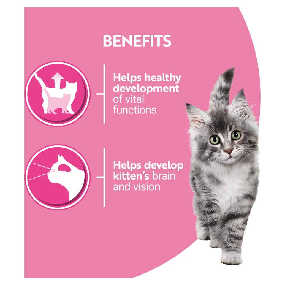 image 1 of PURINA ONE Kitten Mini Fillets Salmon and Chicken Wet Cat Food 8x85g