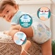 image 2 of Pampers Baby Dry Pants Size 8 Carry Pack 14 Nappies