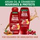 image 2 of Garnier Ultimate Blends Argan Oil Shampoo Coloured Hair 360Ml