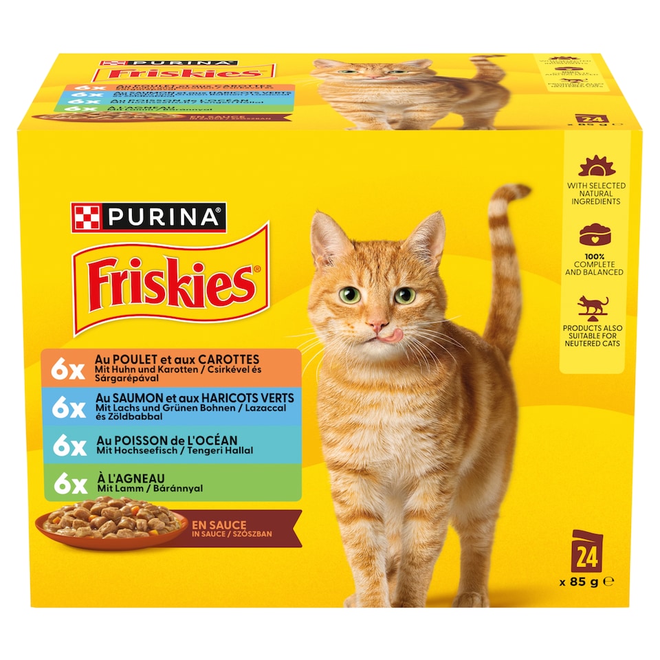 Purina Friskies Wet Cat Food in Gravy with Chicken, Lamb, Salmon and Ocean Fish 12 × 85 g