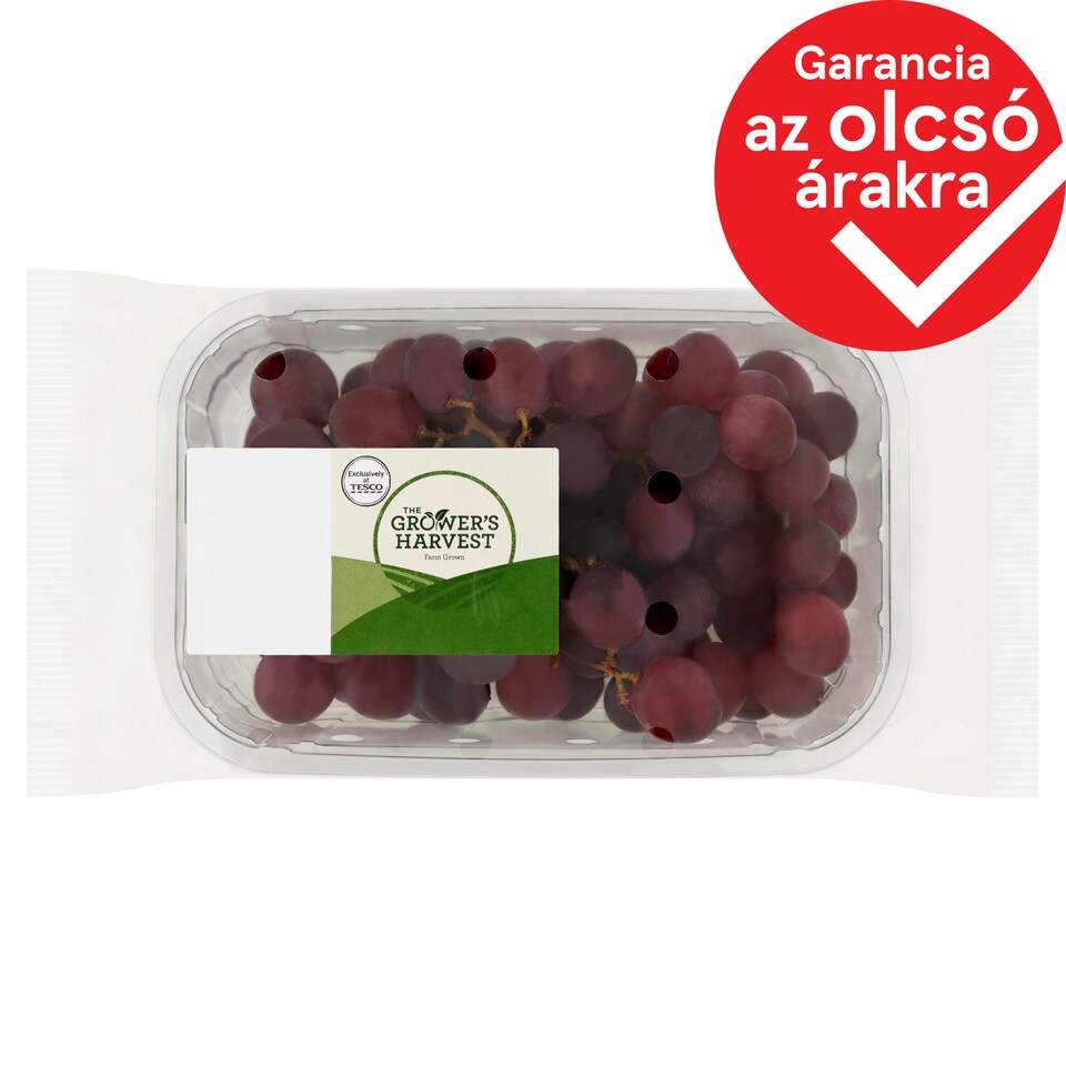 The Grower's Harvest Red Seedless Grapes 500 g