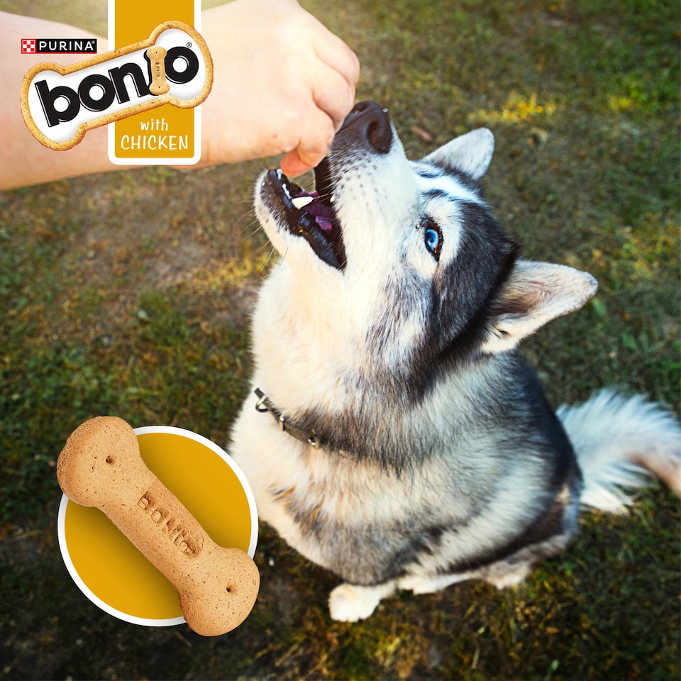 image 1 of BONIO Chicken Dog Biscuits 650g