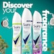 image 5 of Sure  Eucalyptus & Coconut Water Scent 72h continuous Nonstop protection Antiperspirant Deodorant 250ml