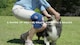 image 2 of Neo G Stabilized Open Knee Support Universal Size