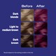 image 4 of Schwarzkopf Live Colour + Lift Permanent Hair Dye - Ultra Violet L76