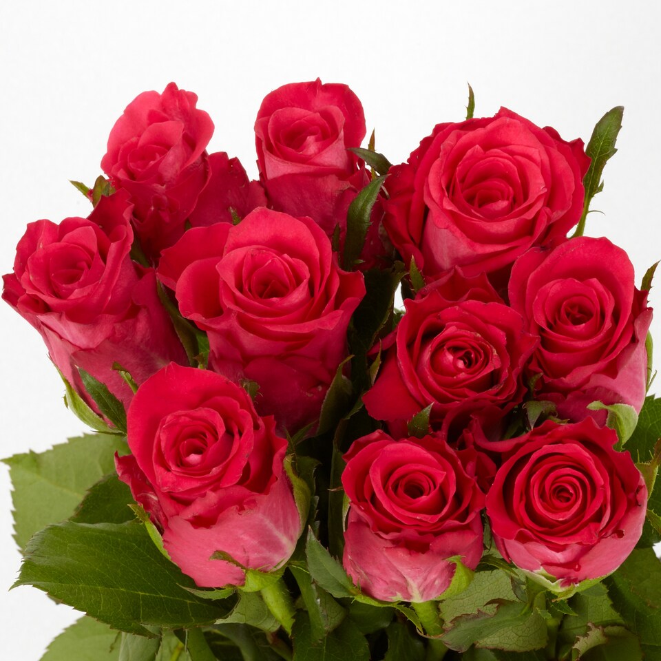 image 1 of Tesco Small Rose Bouquet