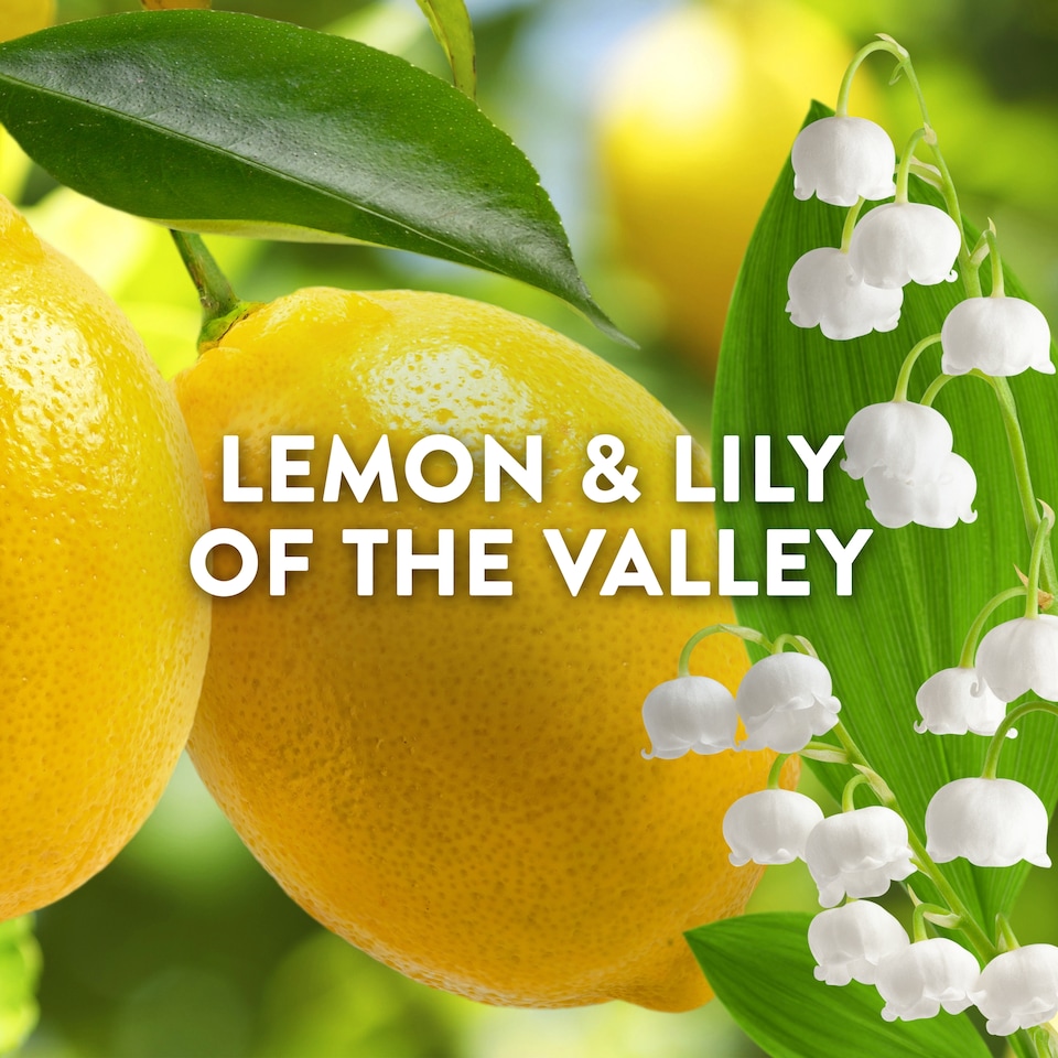 image 1 of Lenor Outdoorable Fabric Conditioner Amalfi Lemon & Lily of the Valley 53w 742ml