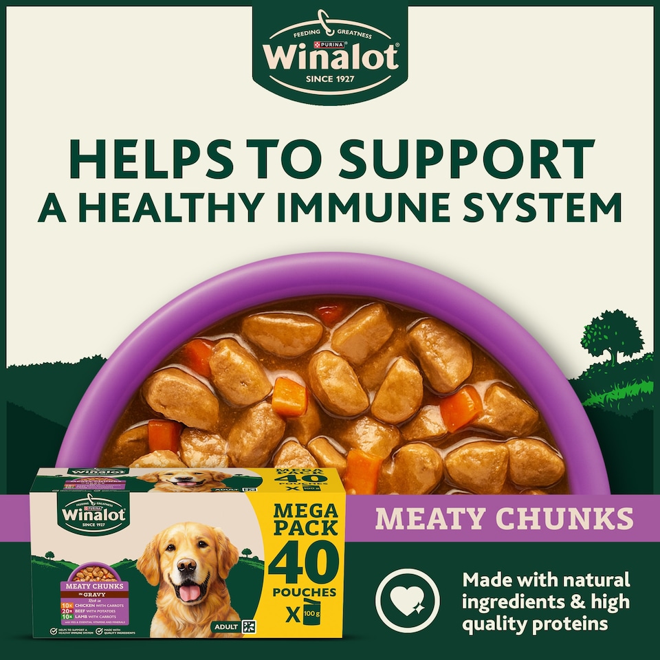 image 1 of WINALOT Meaty Chunks Mixed in Gravy Wet Dog Food 40x100g