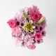 image 3 of Secret Garden