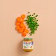 image 3 of Hipp Organic Carrot & Peas Baby Food 4+ Month 125G