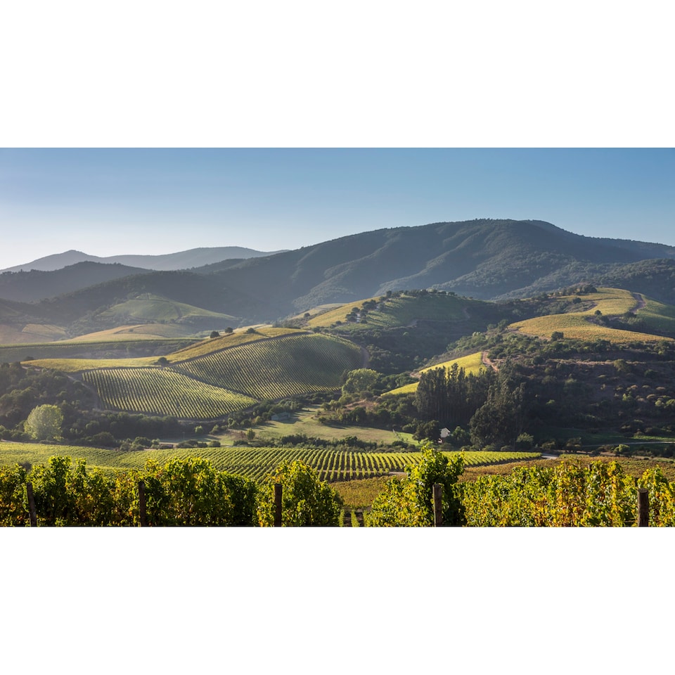 image 1 of Errazuriz Estate Reserva Pinot Noir 75Cl