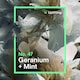 image 4 of INEOS Skin Science Geranium + Mint Antiperspirant Deodorant Aerosol 200ml
