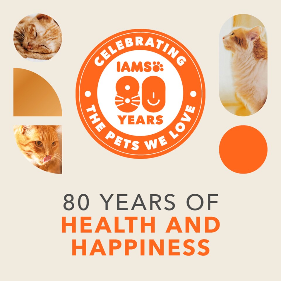 image 1 of Iams Cat Food Adult Chicken 3Kg
