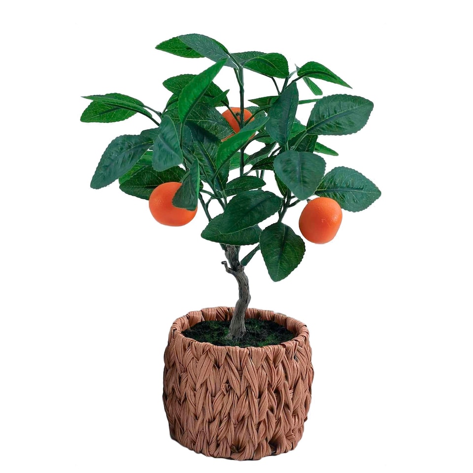 Bayswood Flora & Fern Orange Tree
