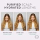image 3 of L'Oreal Paris Elvive Hydra Pure 72H Rehydrating Conditioner 300ml