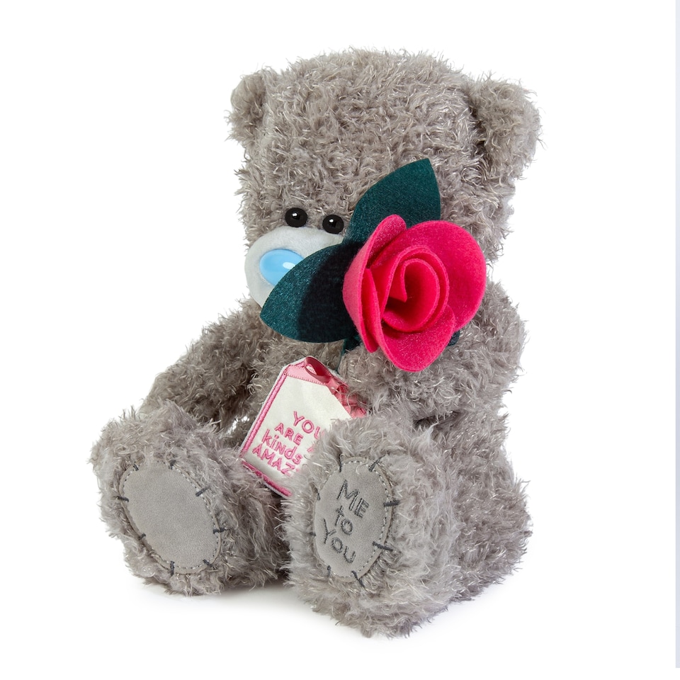 image 1 of Me To You Mother's Day You Are All Kinds Of Amazing Medium Bear Plush