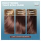 image 2 of Clairol Nice'N Easy Crème Pure Brunettes Permanent Hair Dye Kit - 6.5PB Lightest Latte Brown