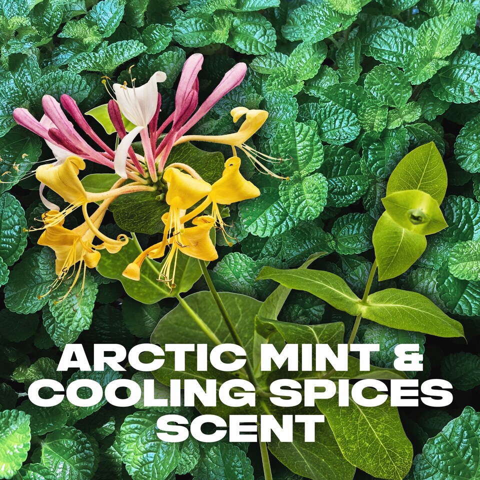 image 1 of Lynx Recharge Sport Fresh 48h Deodorant Bodyspray 150ml