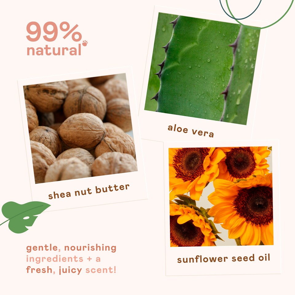 image 1 of Nala's Kids Curl Moisturiser Tropical Blast 150ml