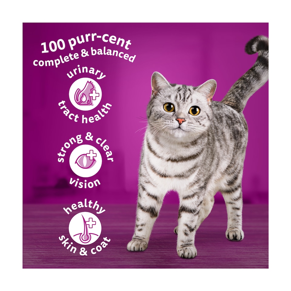 image 1 of Whiskas Adult 1+ Dry Cat Food Biscuits Salmon 1.9Kg