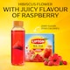 image 3 of LIPTON Ice Tea Hibiscus Raspberry 10 Tea Bags 35g