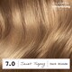 image 5 of CLAIROL COLOUR STRONG PERMANENT HAIR DYE - 7.0 DARK BLONDE
