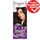 Palette Intensive Color Creme hajfesték 3-65 (W2) Étcsokoládé  1. kép
