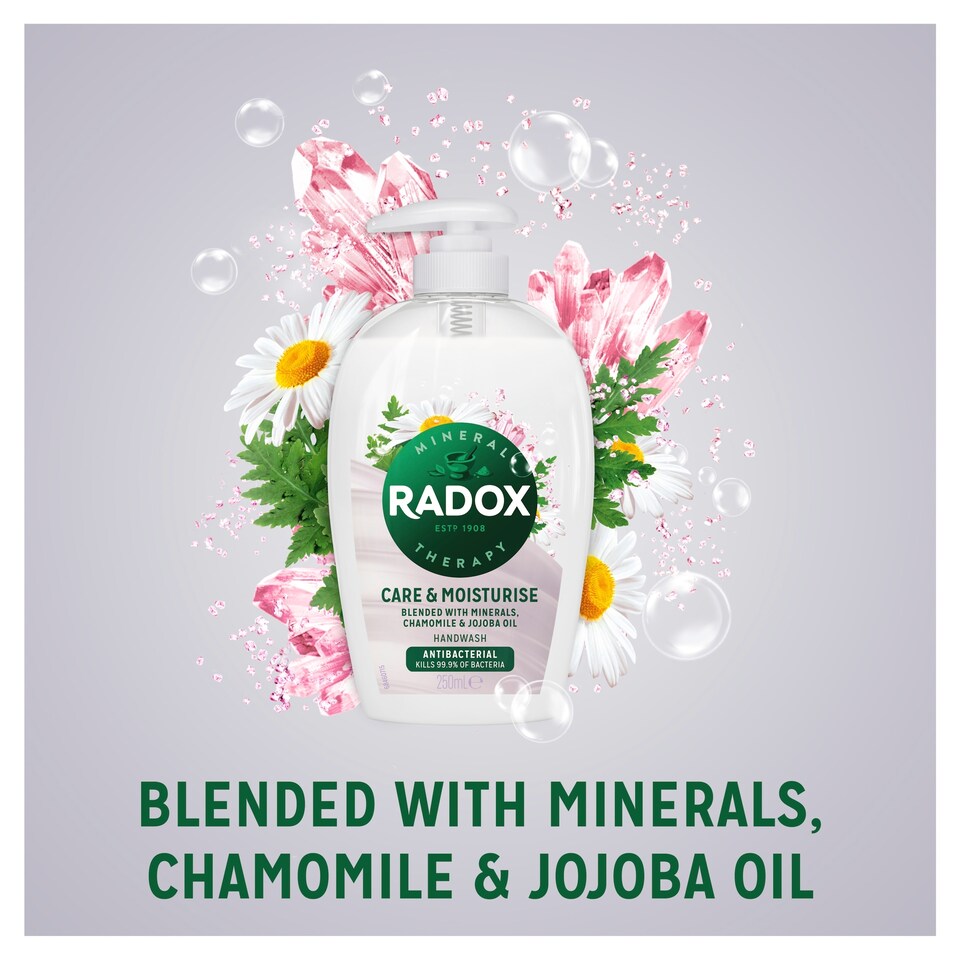 image 1 of Radox Moisturising Antibacterial Handwash 250Ml