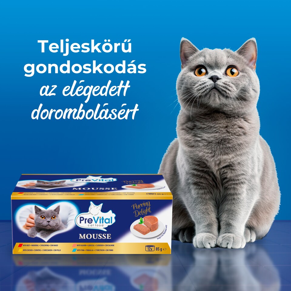 PreVital Mousse nedves macskaeledel, macskatáp felnőtt macskáknak pástétom konzerv 12 x 85 g  1. kép