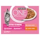 image 2 of PURINA ONE Kitten Mini Fillets Salmon and Chicken Wet Cat Food 8x85g