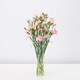 image 1 of Tesco Spray Carnations Flowers Bouquet