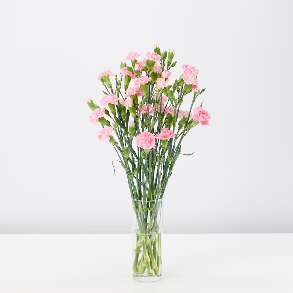 image 1 of Tesco Spray Carnations Flowers Bouquet