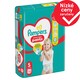 Obrázek 1 pro produkt Plenkové Kalhotky Pampers Active Baby Pants, Velikost 5, 42 Plenky, 11kg-17kg