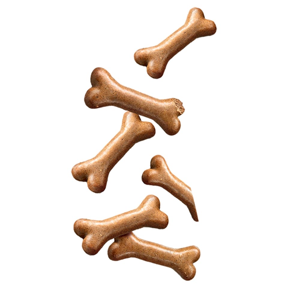 image 1 of Pedigree Gravy Bones 1.5Kg