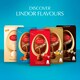 image 3 of Lindt Lindor Milk Chocolate Egg with Salted Caramel Truffles 260g 