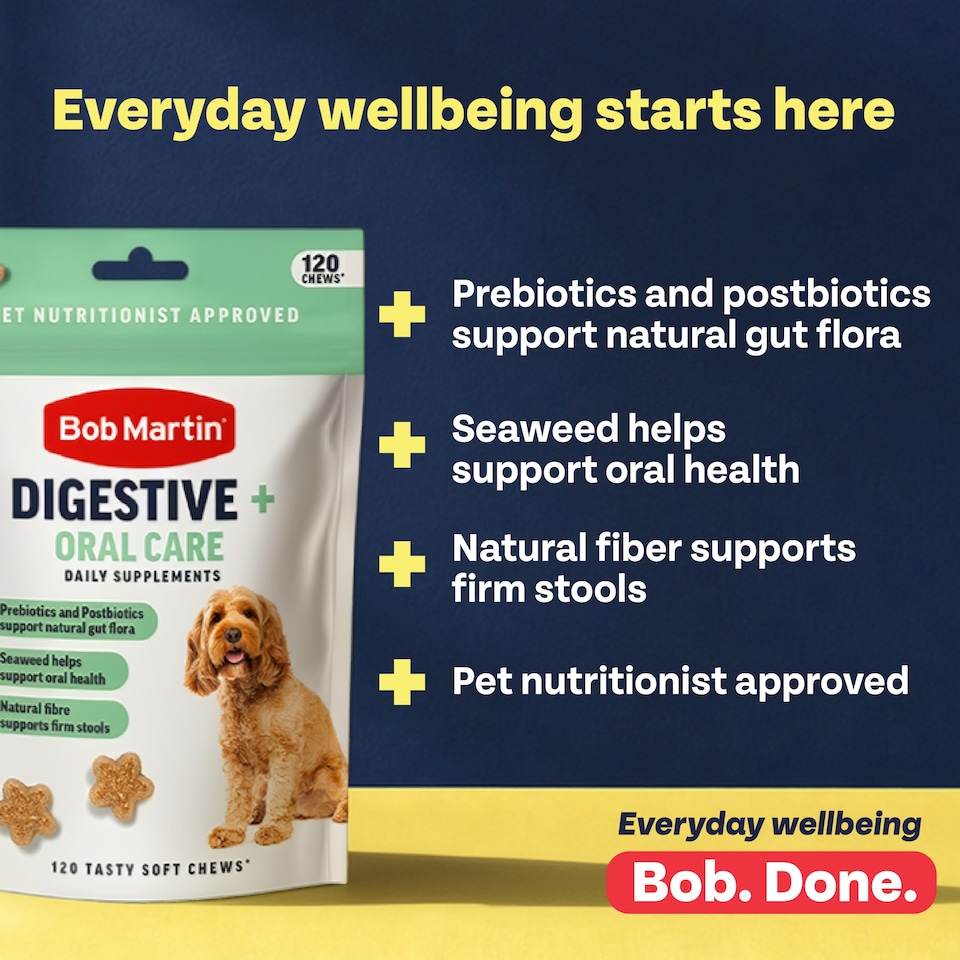 image 1 of Bob Martin Digestive and Oral Care daily Supplements for Dogs 200g