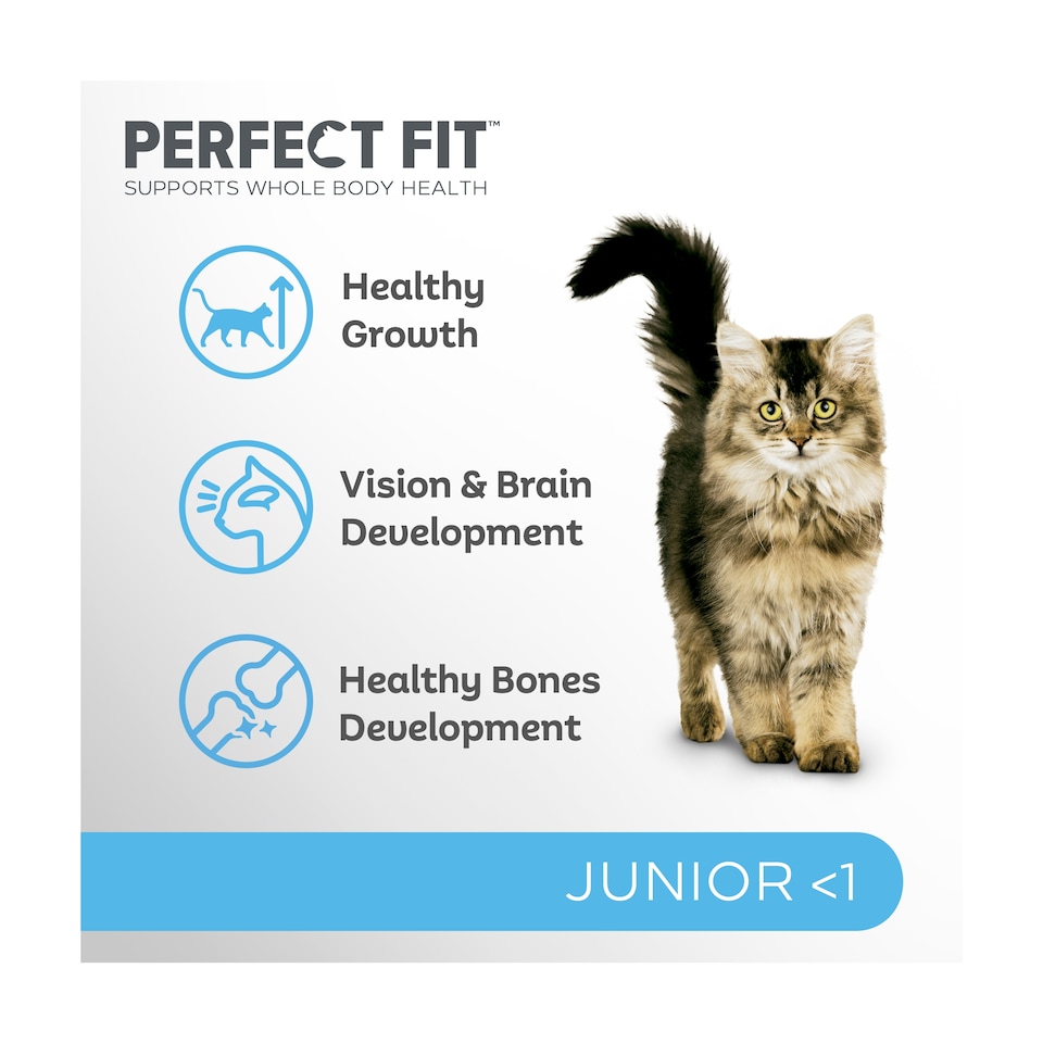 image 1 of Perfect Fit Junior Dry Cat Food - Chicken 750g